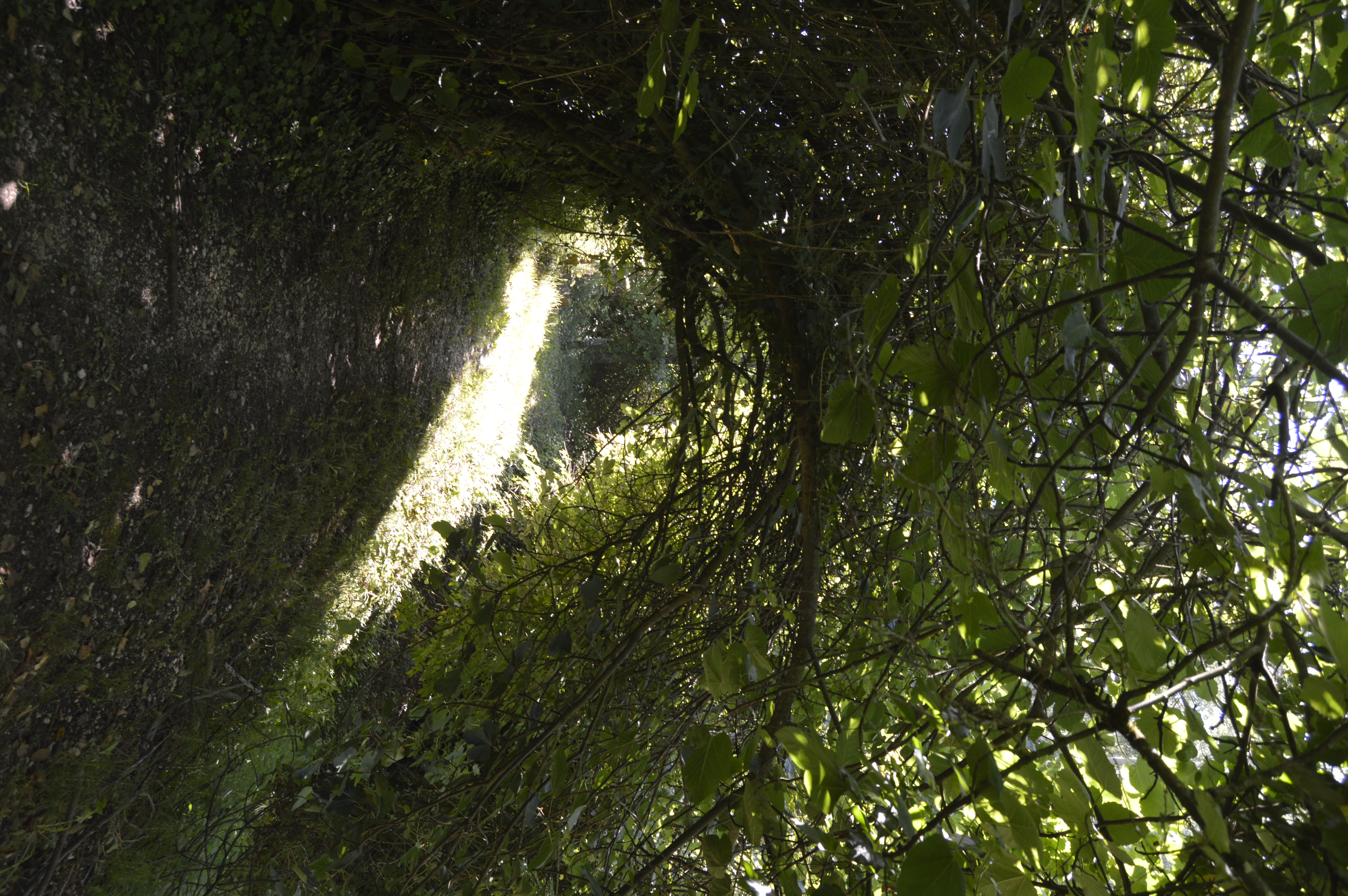 Percorsi lenti, natura e benessere all’aria aperta.