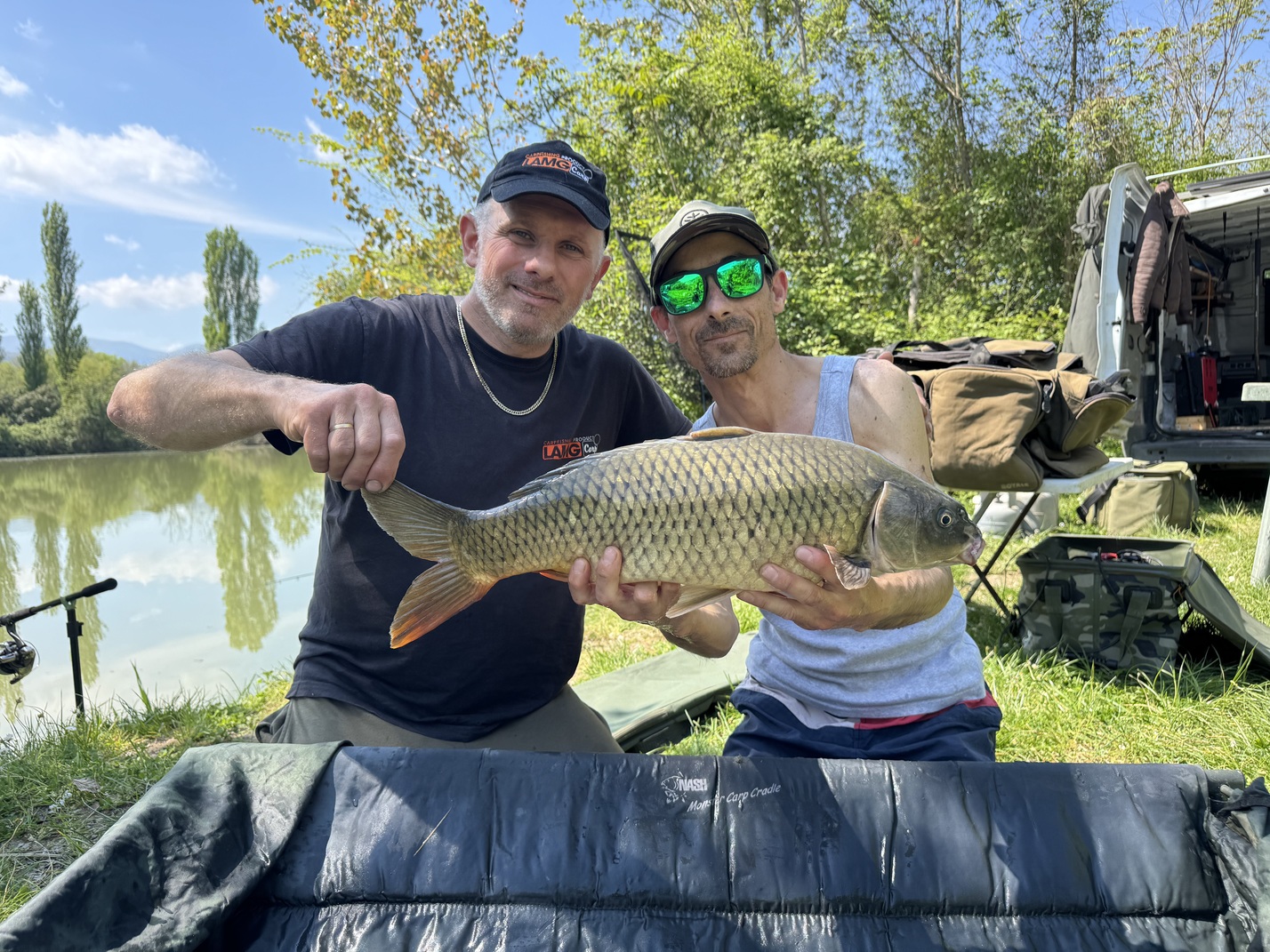 Carpa Regina