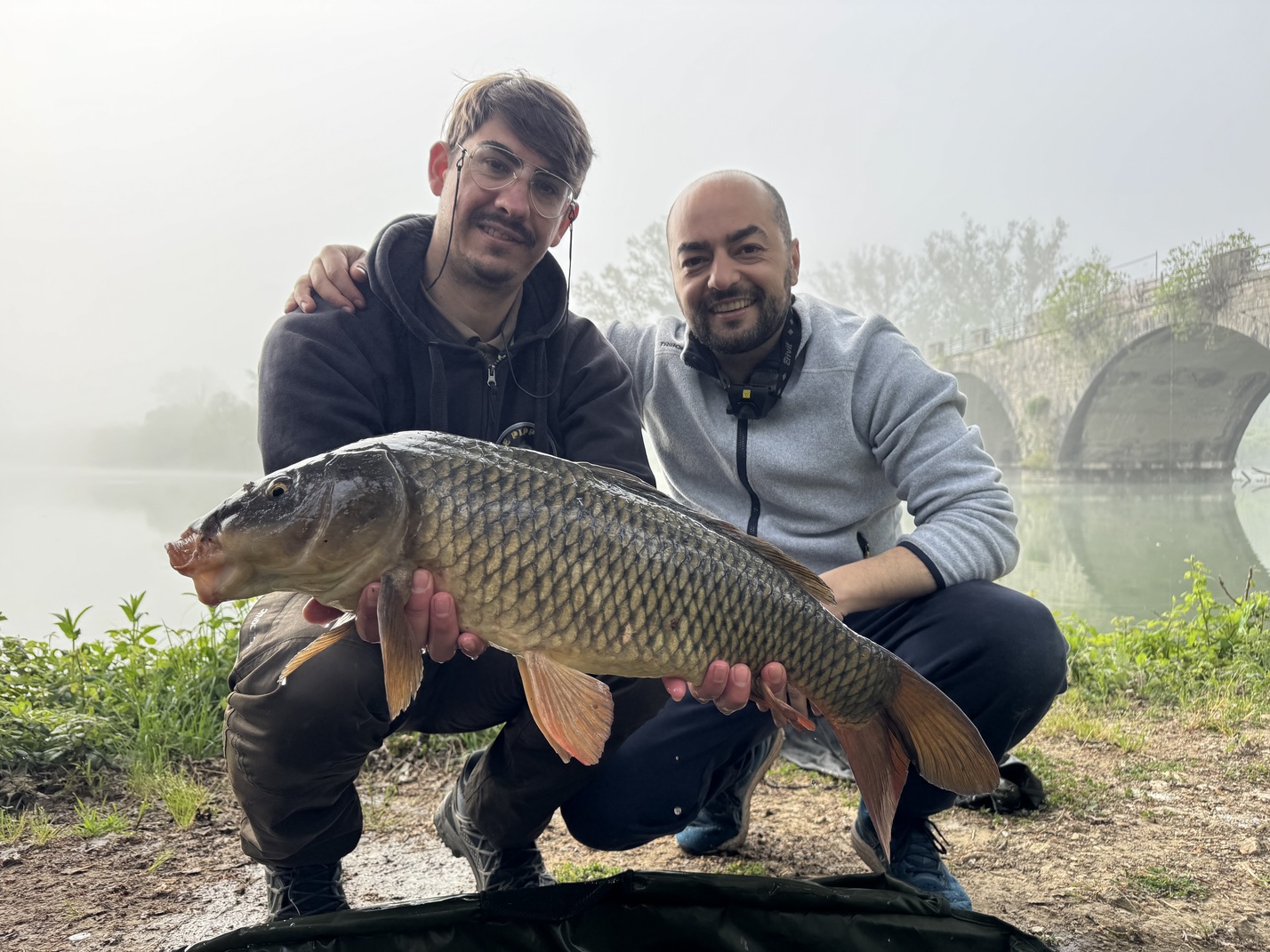 Carpa Regina